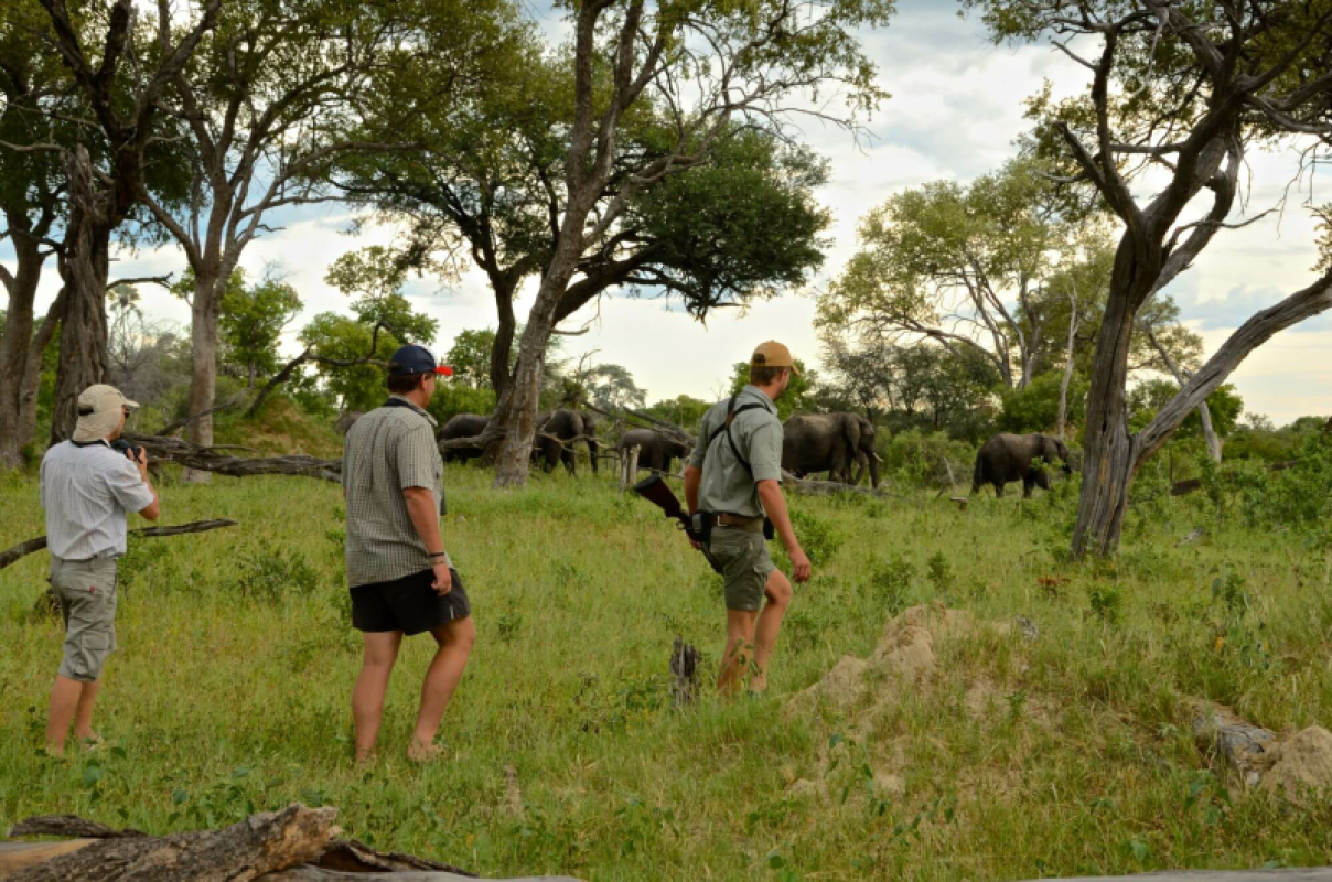 Hwange Nationalpark