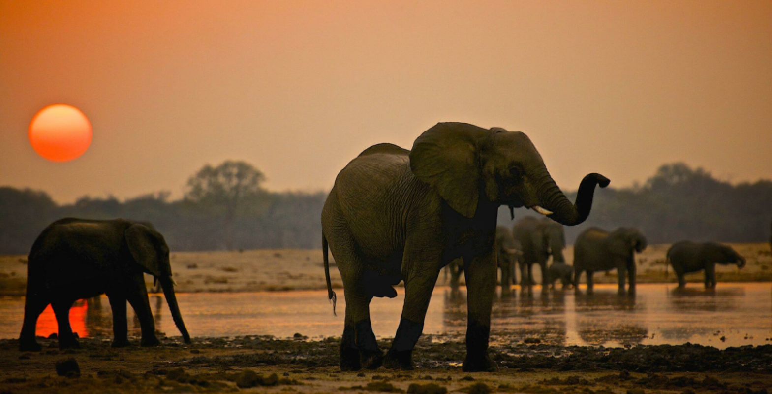 Hwange Nationalpark