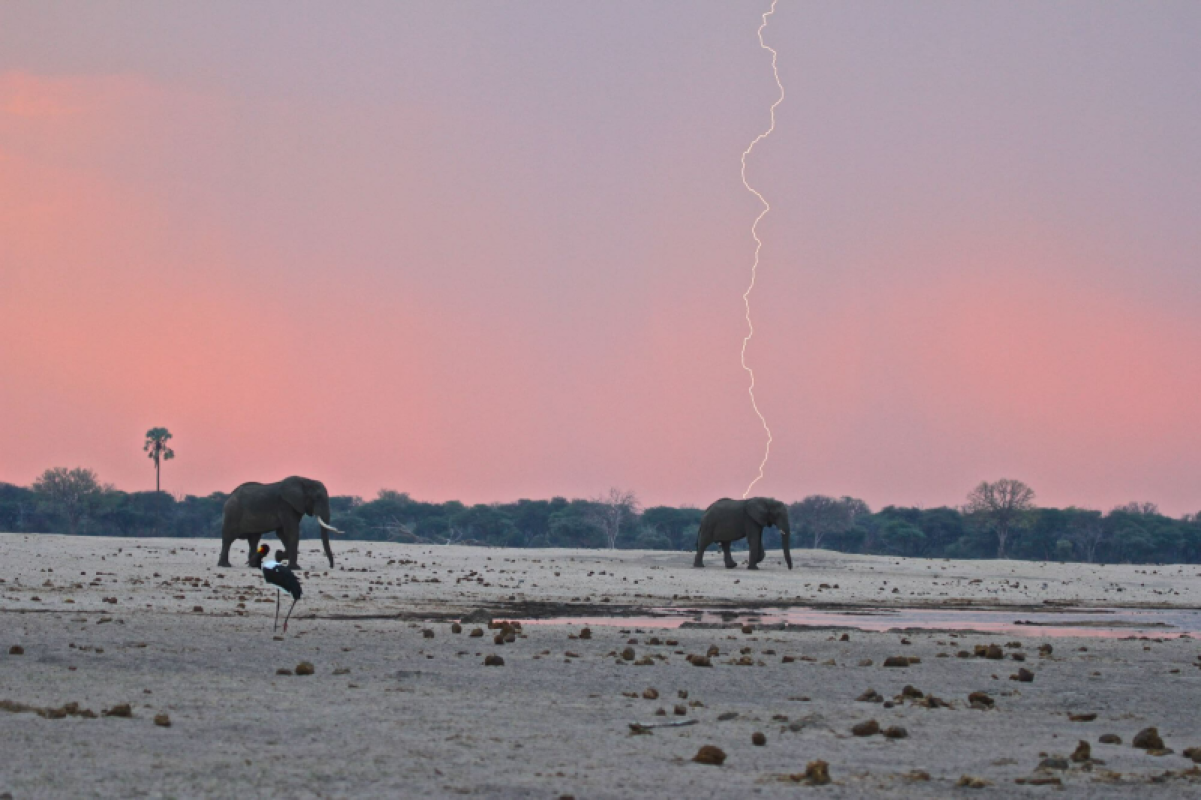 Hwange Nationalpark
