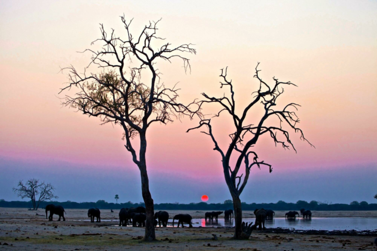 Hwange Nationalpark