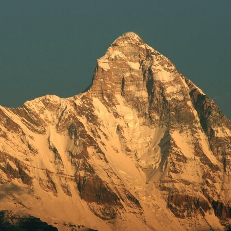 Wild India