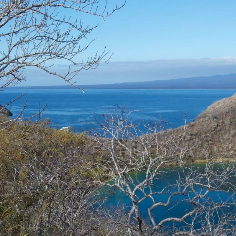 Isabela