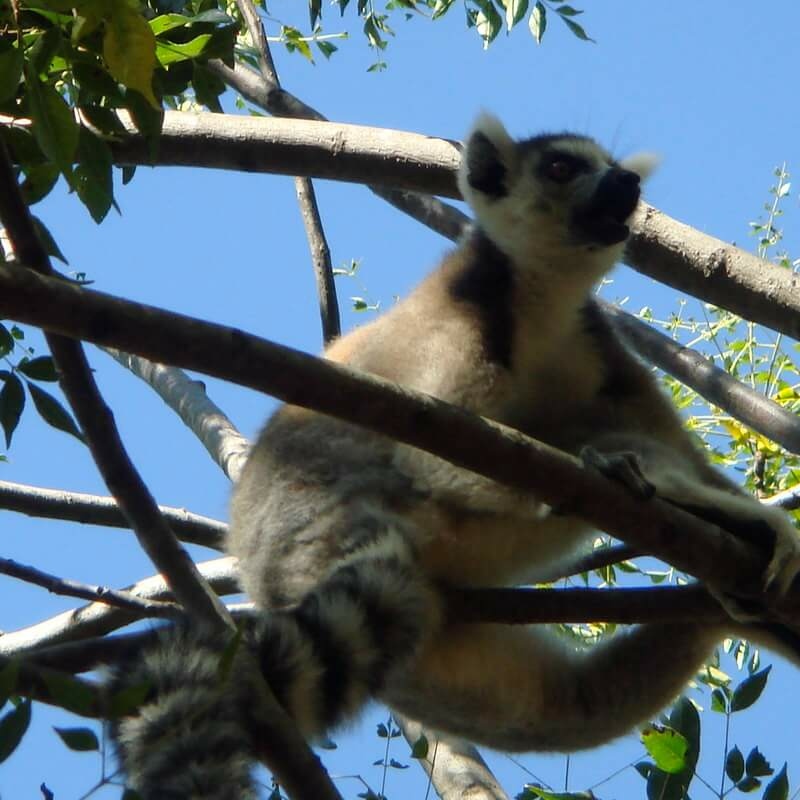 Isalo Nationalpark