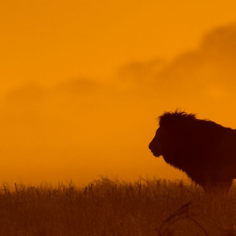 Kafue Nationalpark