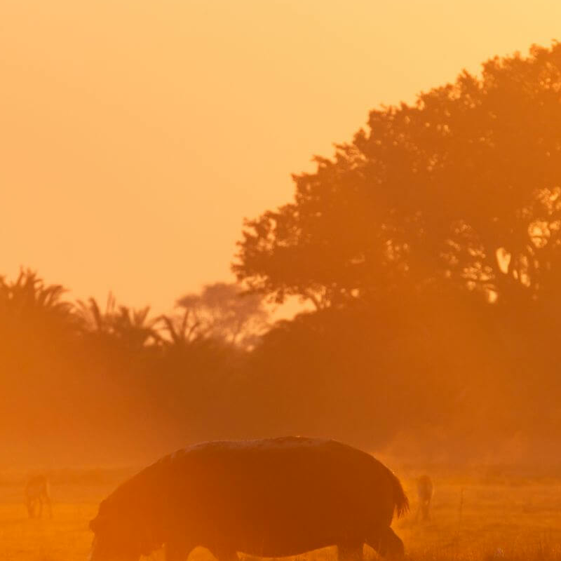 Kafue Nationalpark