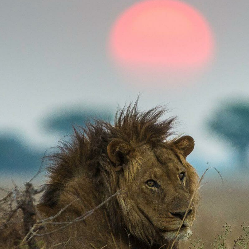 Kafue Nationalpark