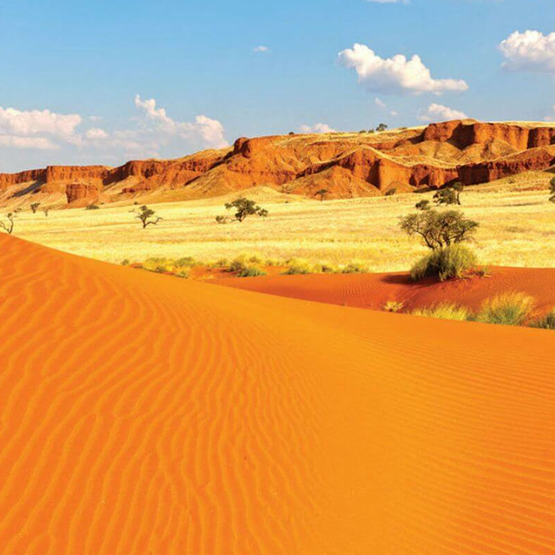 Kalahari Wüste