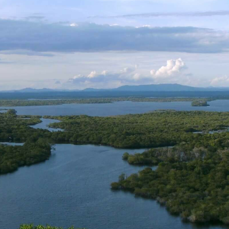 Kalimantan