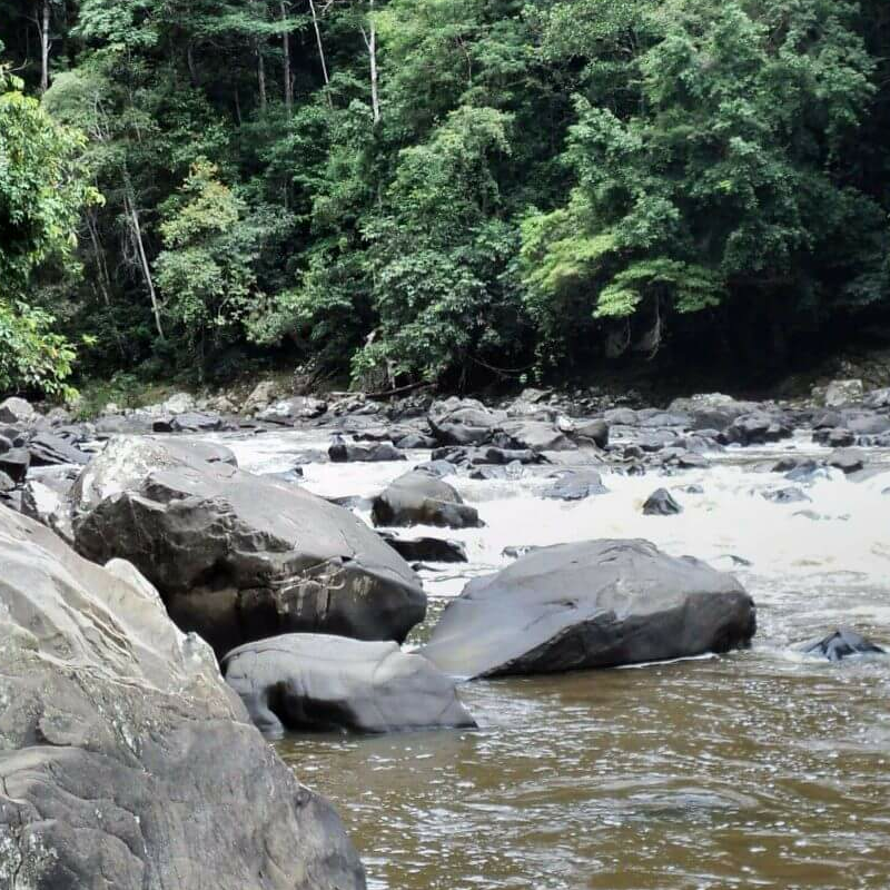 Kalimantan