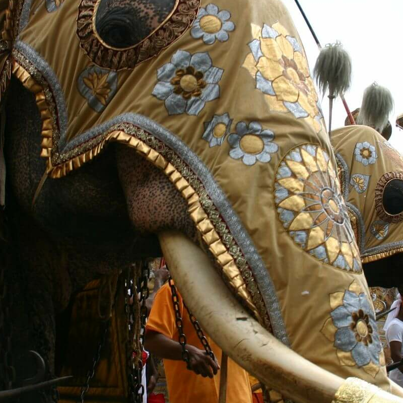 Kandy