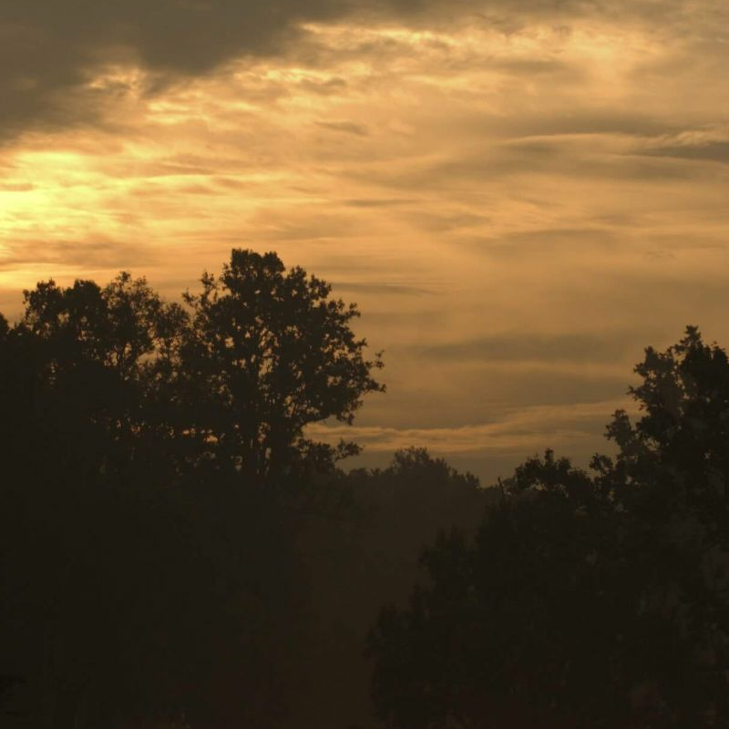 Kanha Nationalpark