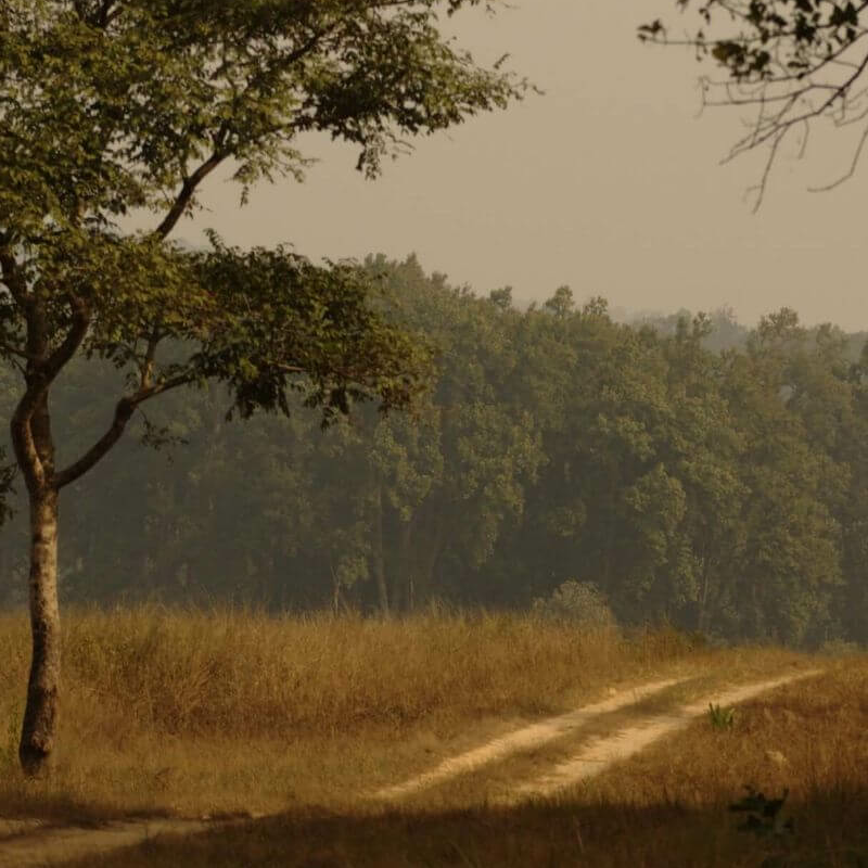 Kanha Nationalpark