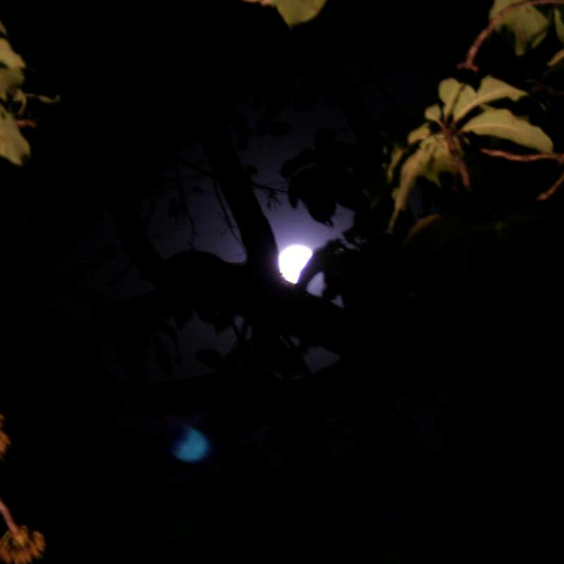 Kanha Nationalpark