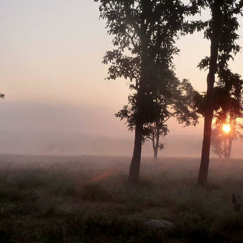 Kanha Nationalpark