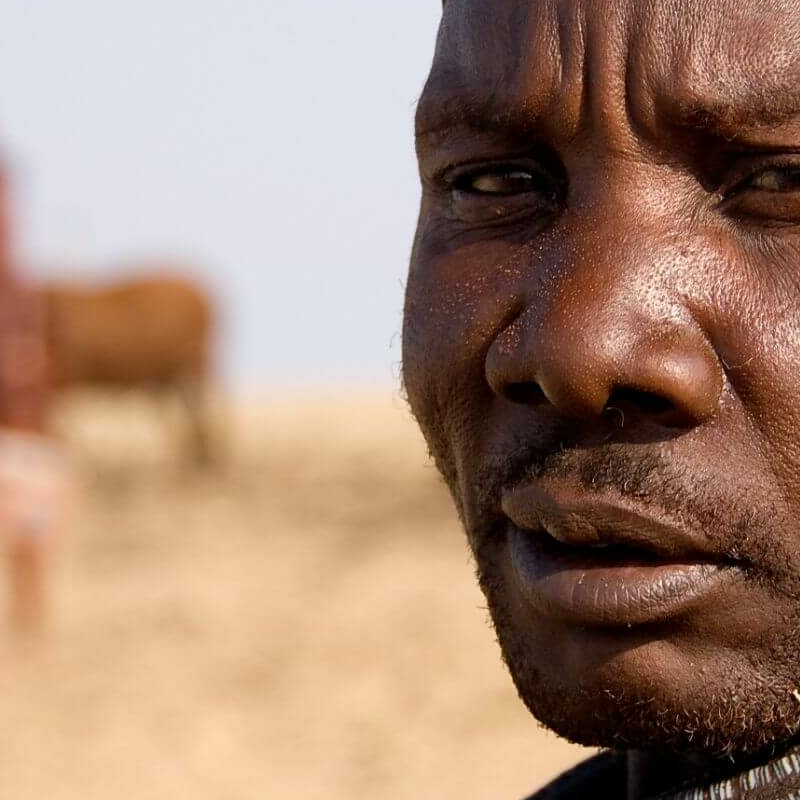 Namibia Grand Safari: Überland- und Fly-in-Safari