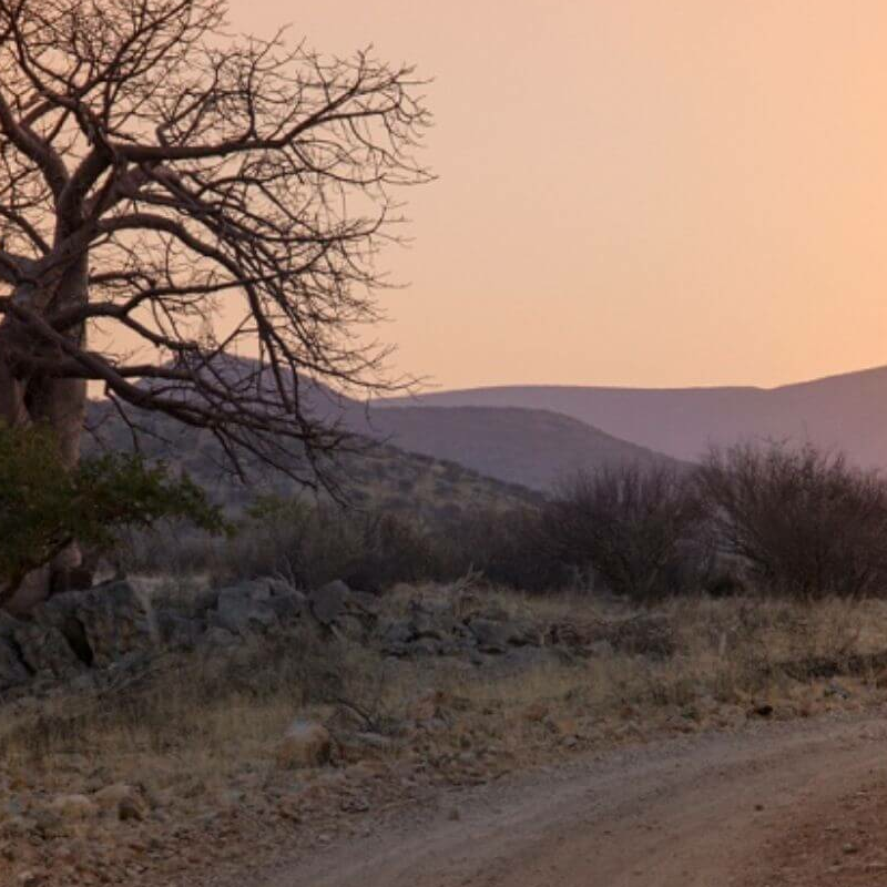 Namibia Grand Safari: Überland- und Fly-in-Safari
