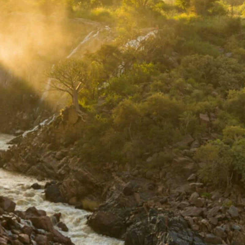 Namibia Grand Safari: Überland- und Fly-in-Safari