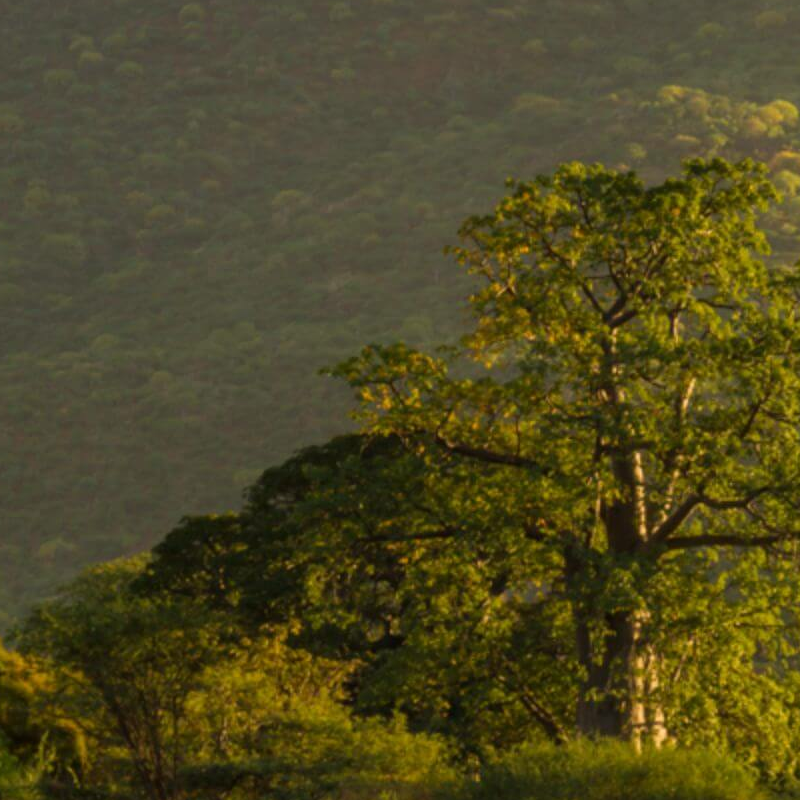 Namibia Grand Safari: Überland- und Fly-in-Safari