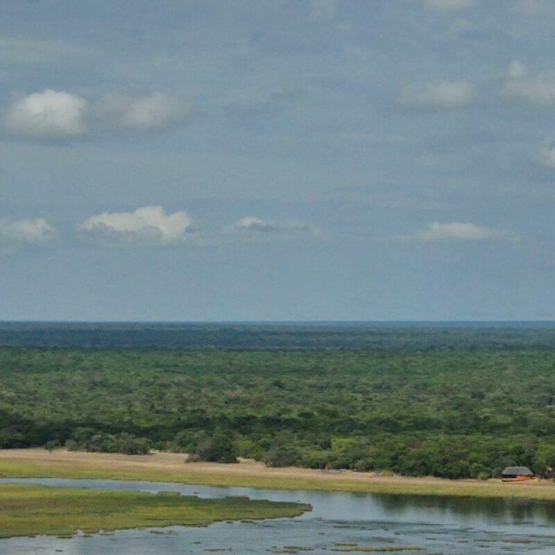 Kasanka Nationalpark