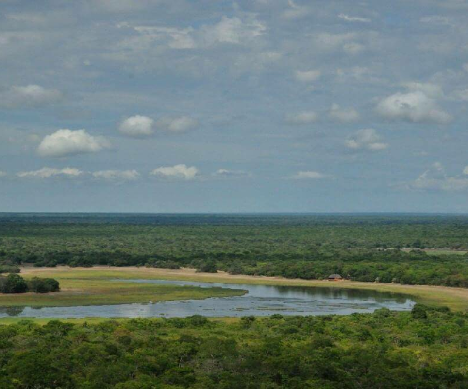 Kasanka Nationalpark