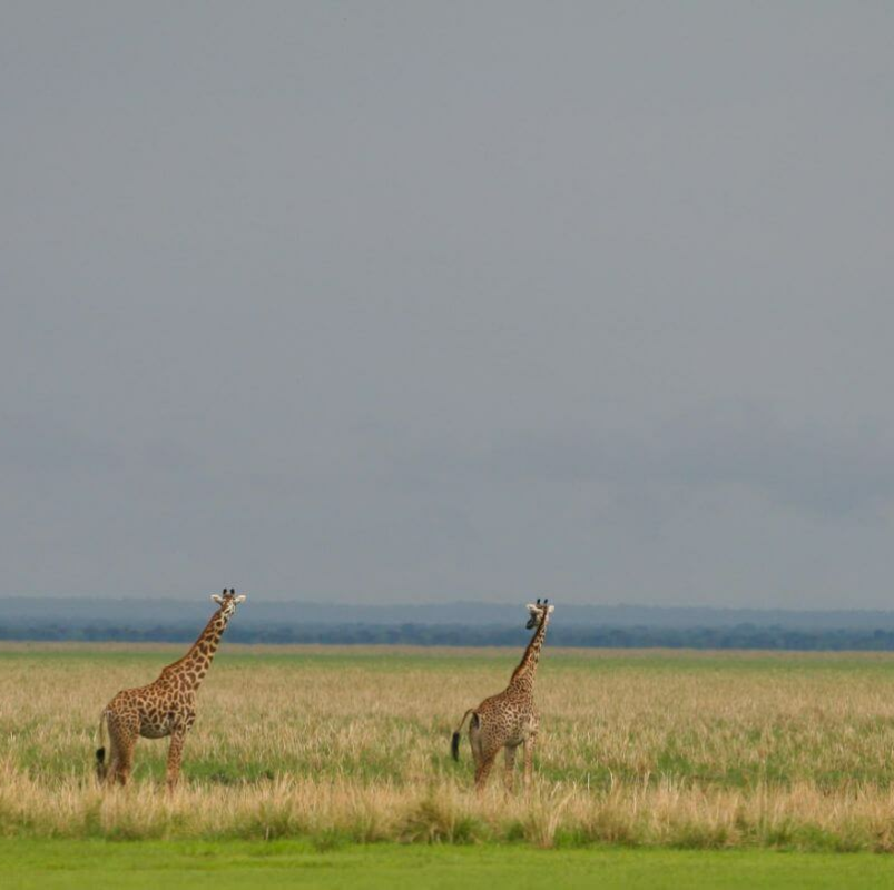 Katavi-Nationalpark