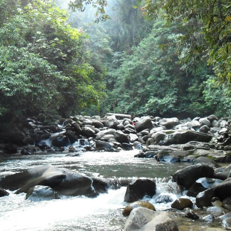 Kayan Mentarang