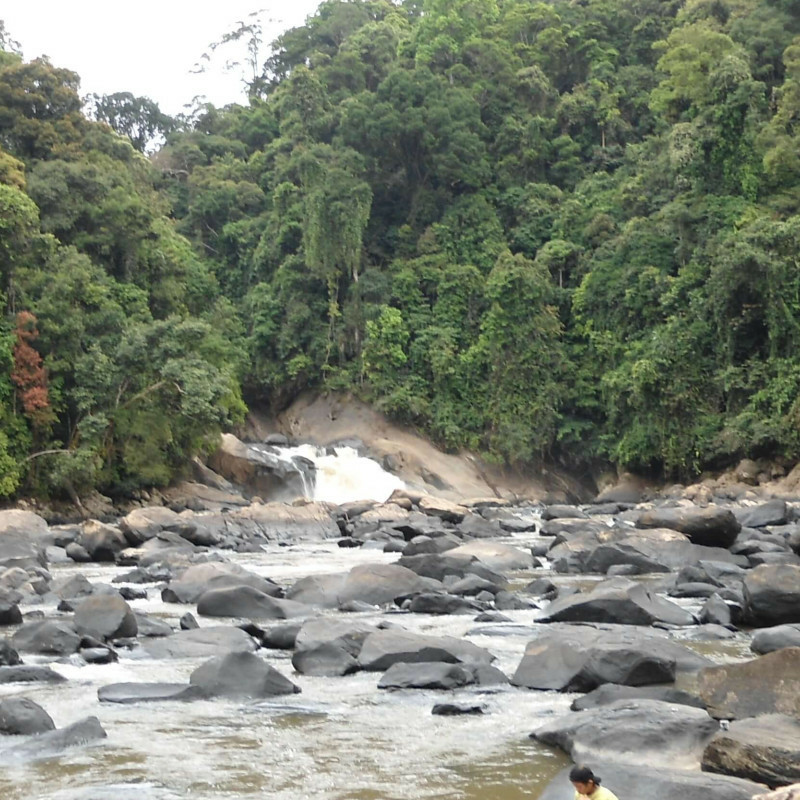 Kayan Mentarang