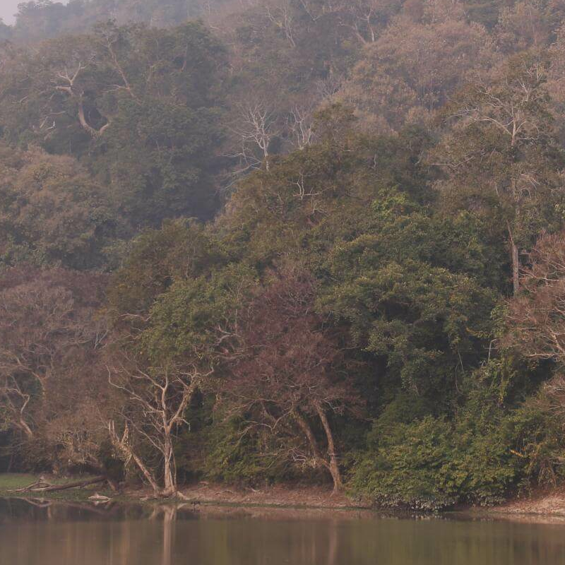 Kaziranga National Park