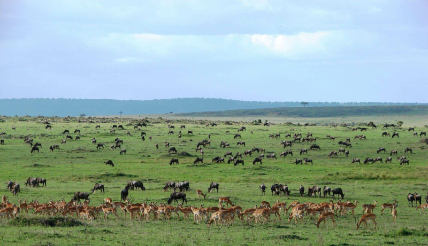 Kenia