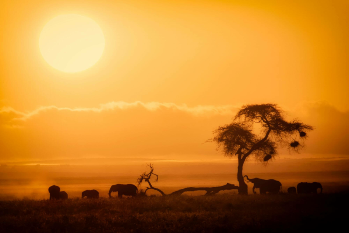 Kenia