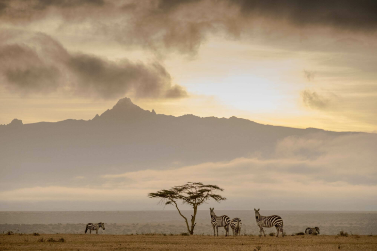 Kenia