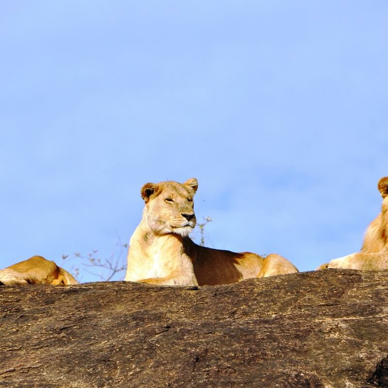 Kidepo Nationalpark