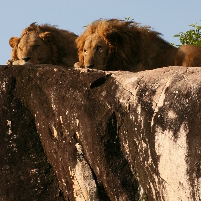 Kidepo Nationalpark