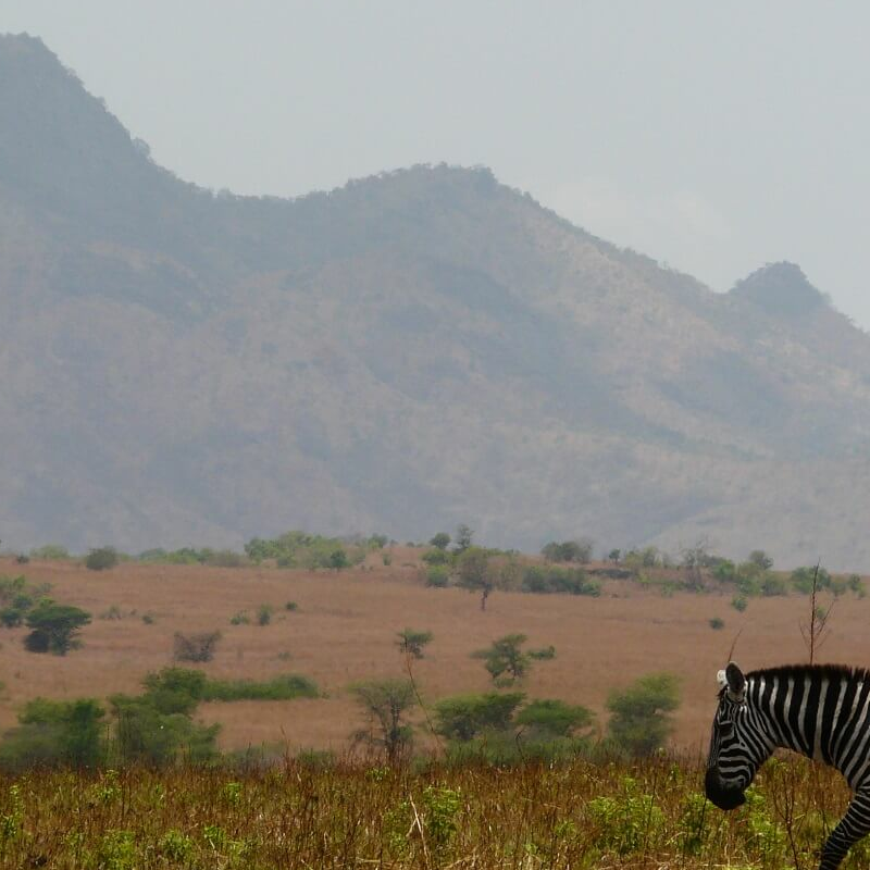 Kidepo Nationalpark