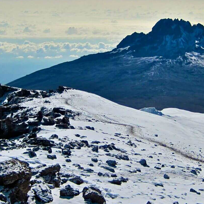 Kilimanjaro