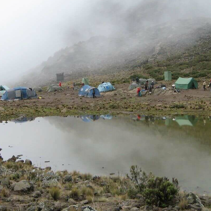 Kilimanjaro
