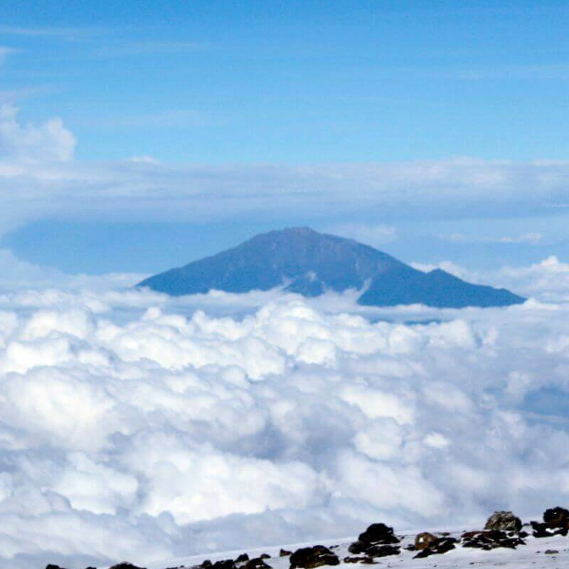 Kilimanjaro