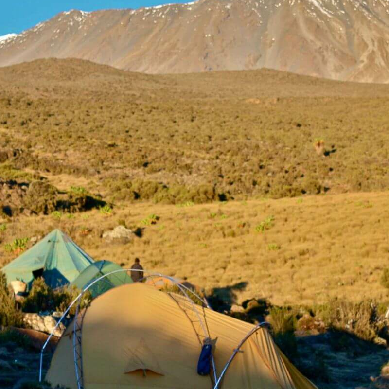 Kilimanjaro