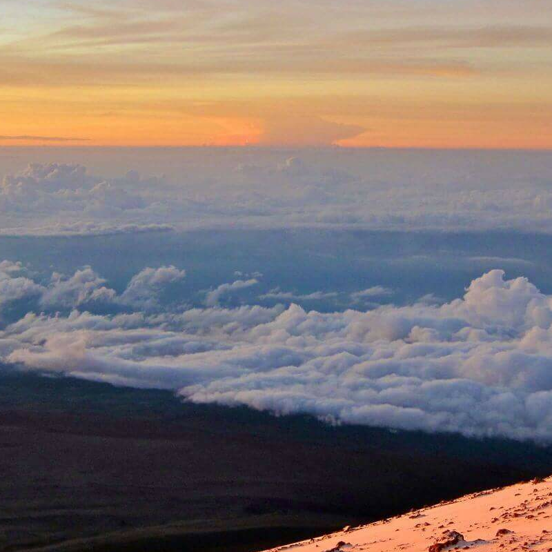 Kilimanjaro