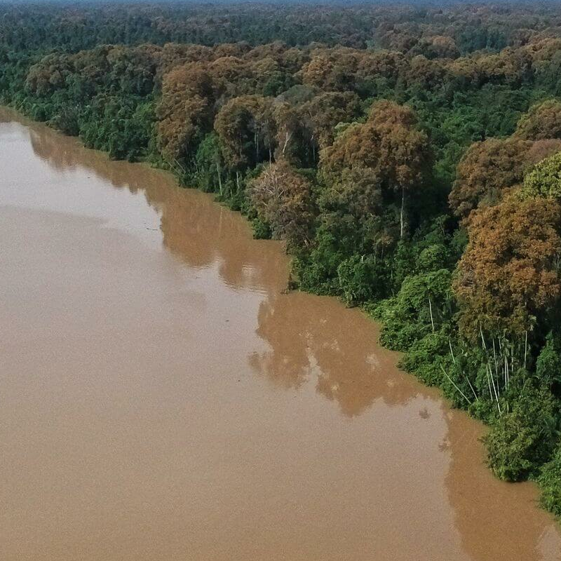 Die ultimative Südostasien Safari