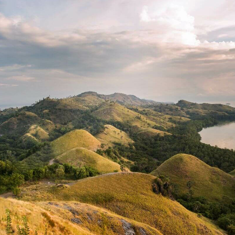 Intensive Orang Utan Safari mit Komodo