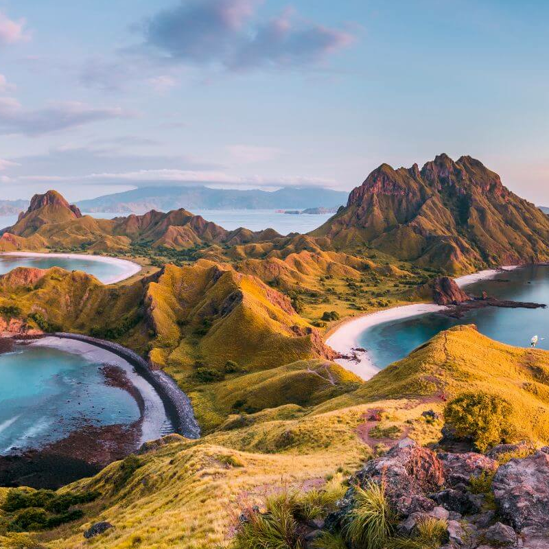 Intensive Orang Utan Safari mit Komodo