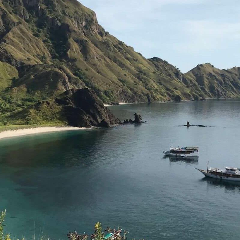 Intensive Orang Utan Safari mit Komodo