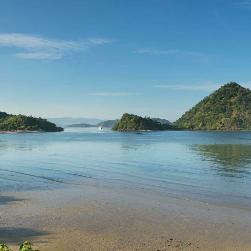 Intensive Orang Utan Safari mit Komodo