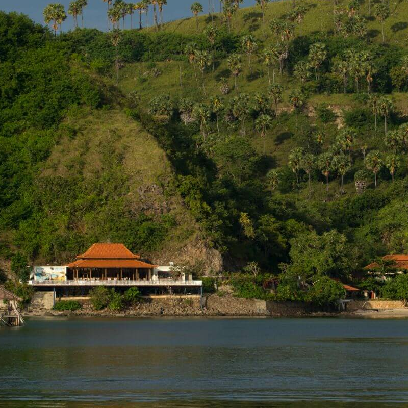 Intensive Orang Utan Safari mit Komodo