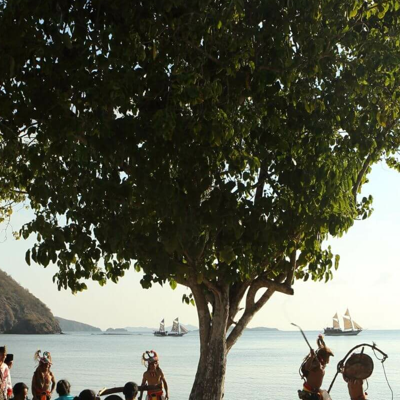 Intensive Orang Utan Safari mit Komodo