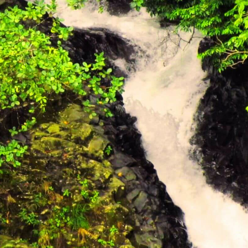 La Fortuna