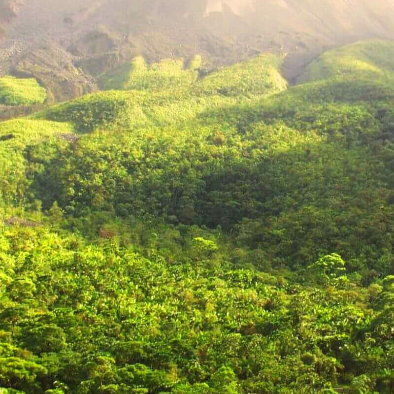 La Fortuna