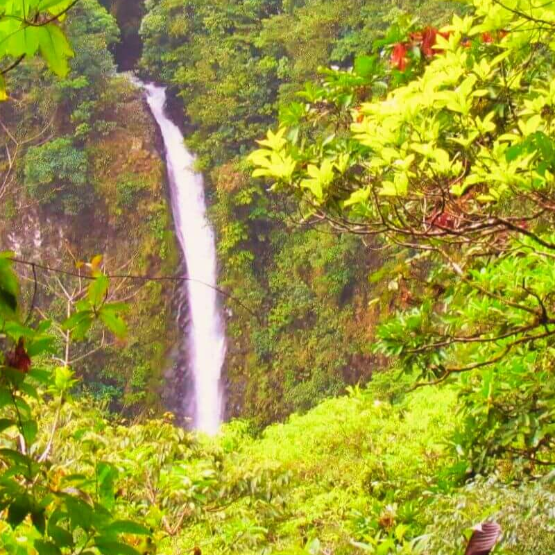 La Fortuna