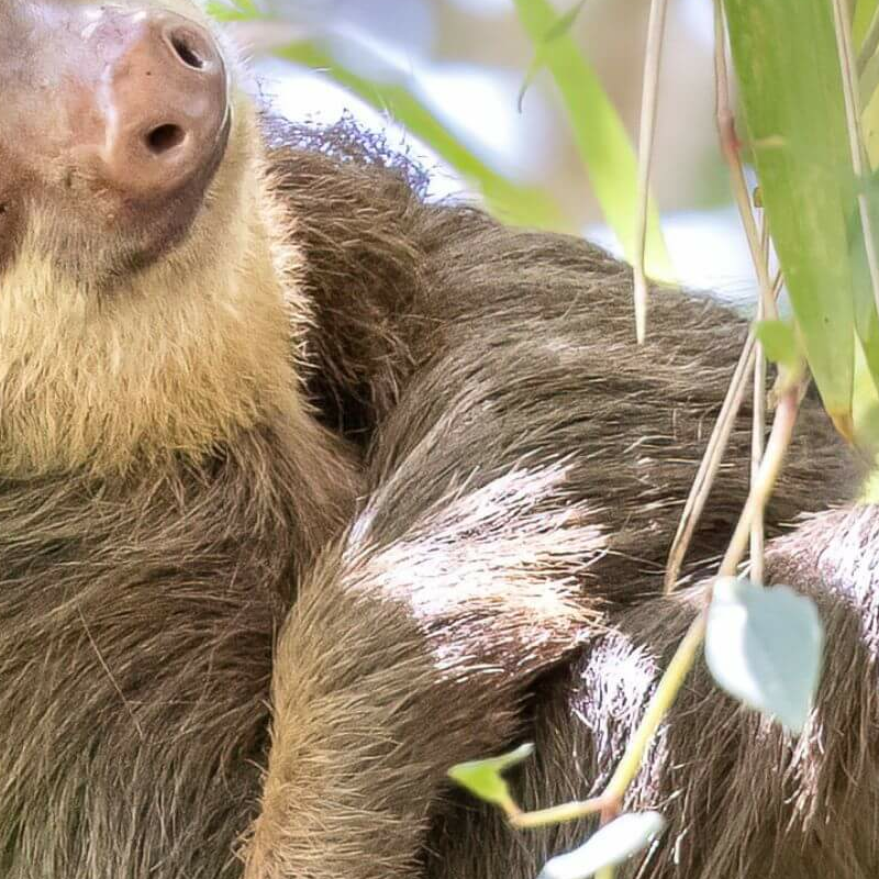 La Selva